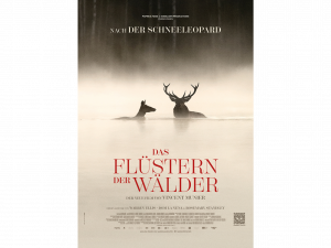 Mi, 24.06.26 - Seniorenkino: Das Flüstern der Wälder - 16:00 Uhr